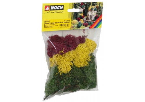 NOCH YOSUN MOSS SONBAHAR-YEŞİL KARIŞIK 35GR NC-08630